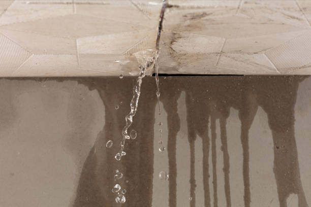 Professional Structural Drying technician working in Belmore, OH